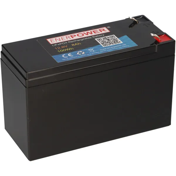 LiFePO4 Akku 12,8V 8Ah mit BMS