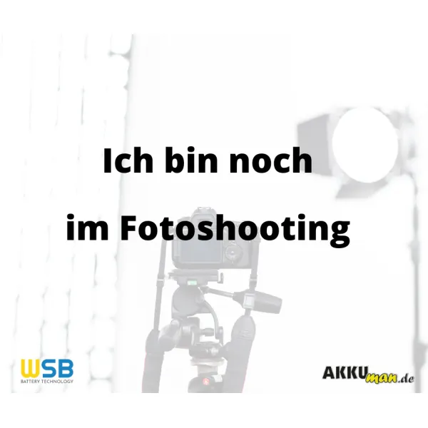 SolaX Anschlusskabel f&uuml;r 3x T30 1,20m