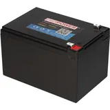 LiFePO4 Akku 12,8V 12,8Ah mit BMS - Bild 2 von 8