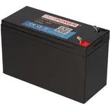 LiFePO4 Akku 12,8V 8Ah mit BMS - Bild 6 von 8