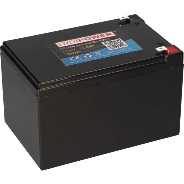 LiFePO4 Akku 12,8V 12,8Ah mit BMS