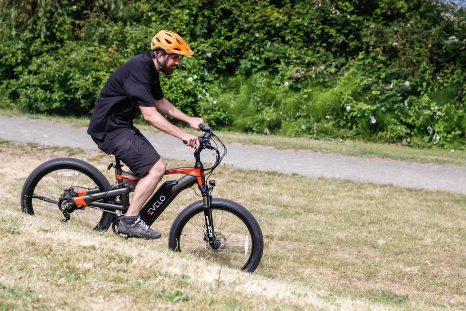 E-Bike in der Natur am Wegrand