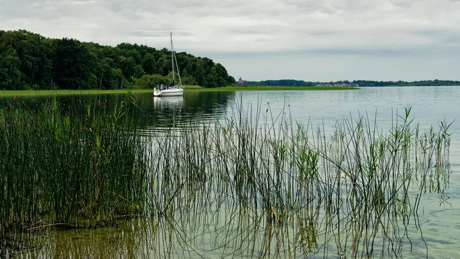 Ruhige Szene eines Segelboots, das auf einem ruhigen See vor Anker liegt, umgeben von üppigem Grün und Schilf.